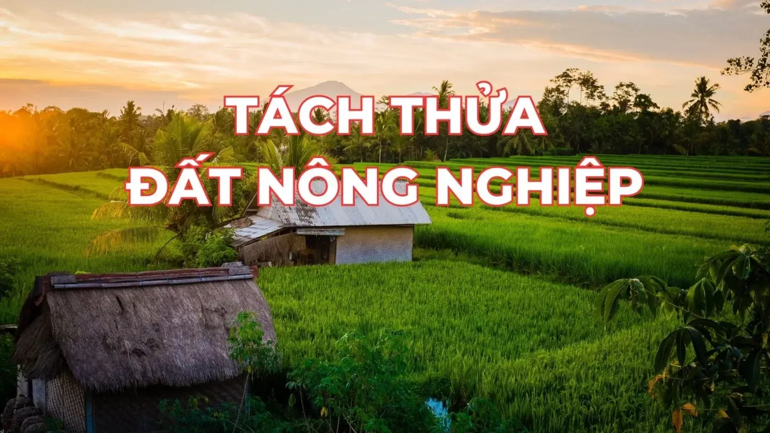 Điều kiện tách thửa đất, hợp thửa đất tại Hà Nội