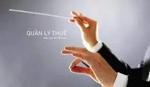 Quy định của pháp luật về thuế liên kết