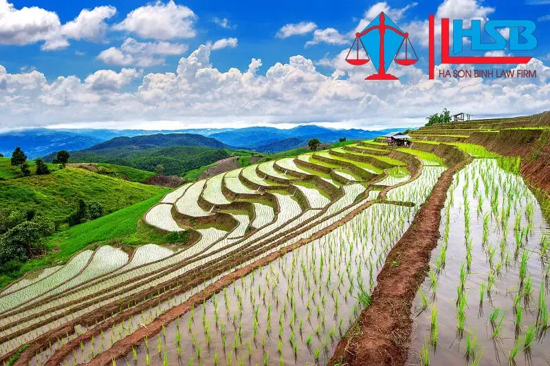 Thời hạn sử dụng đất, thủ tục gia hạn thời gian sử dụng đất